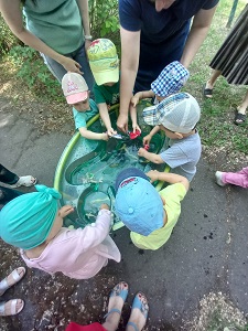 IMG 3661