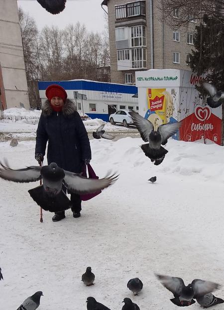 голуби